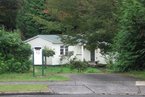 Photo of property in 12 Inveresk Place, Tokoroa, 3420