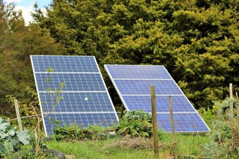 Photo of property in 451 Lusk Road, Ruawai, Matakohe, 0594