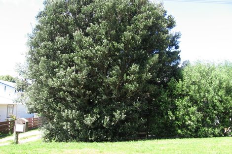 Photo of property in 53 Douglas Street, Okitu, Gisborne, 4010