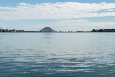 Photo of property in 202 Maungatapu Road, Maungatapu, Tauranga, 3112