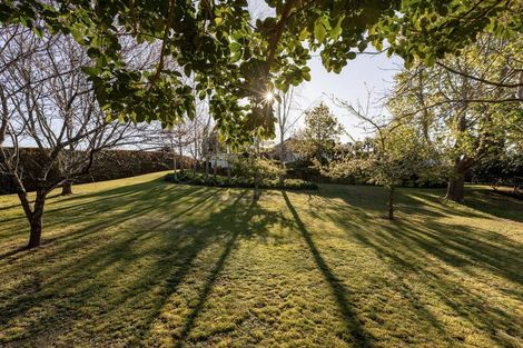 Photo of property in 8 Georgia Grove, Pyes Pa, Tauranga, 3112