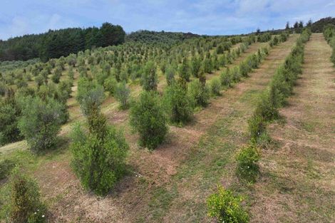 Photo of property in 105 Frantoio Ridge Road, Mangonui, 0494