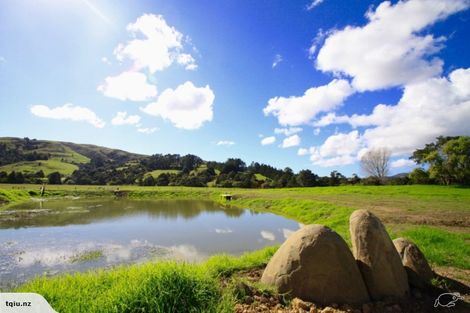 Photo of property in 1313 Whangaripo Valley Road, Whangaripo, Wellsford, 0972
