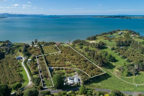 Photo of property in 317 Pahoia Road, Whakamarama, Tauranga, 3172