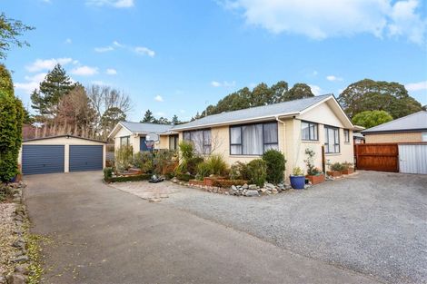 Photo of property in 40 Williams Street, Kaiapoi, 7630