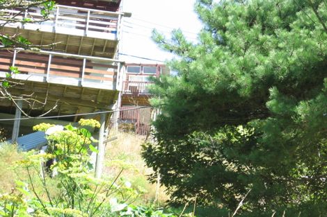 Photo of property in 4 Thule Street, Aro Valley, Wellington, 6012