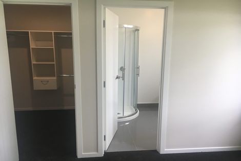 Photo of property in 41 Tupelo Street, Pukete, Hamilton, 3200