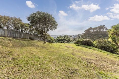 Photo of property in 102 Sidlaw Street, Strathmore Park, Wellington, 6022