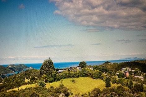 Photo of property in 101 Pukenui Road, Ngunguru, Whangarei, 0173