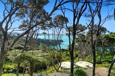 Photo of property in 178 Te Wahapu Road, Russell, 0272