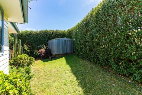 Photo of property in 58 Mangawhai Heads Road, Mangawhai Heads, Kaiwaka, 0573