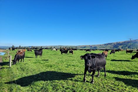 Photo of property in 55 Smiths Road, Matua, Tauranga, 3110