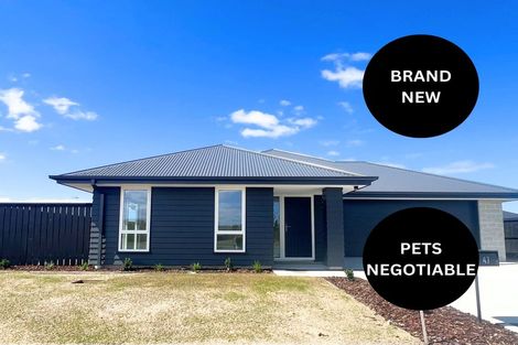 Photo of property in 47 Benn Street, Amberley, 7481