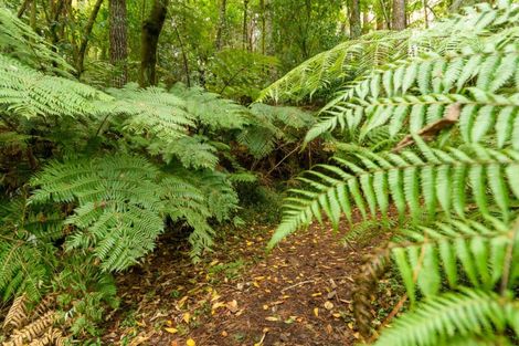 Photo of property in 125 Boscabel Drive, Ohauiti, Tauranga, 3112