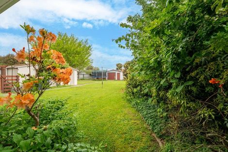 Photo of property in 53 Campbell Street, Geraldine, 7930