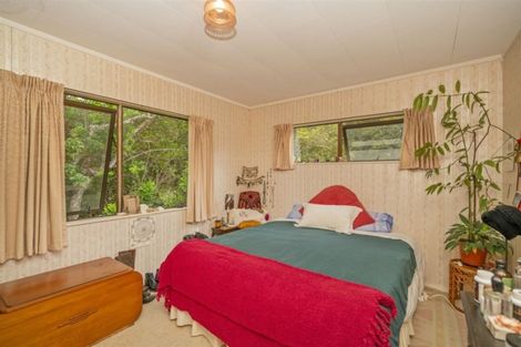 Photo of property in 23 Punga Place, Whitianga, 3510