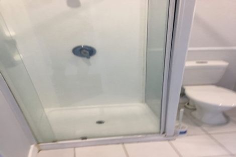 Photo of property in Quest/richard Pearse Apartment, 8/219a Willis Street, Te Aro, Wellington, 6011