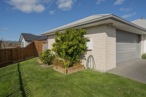 Photo of property in 8 Coad Lane, Pyes Pa, Tauranga, 3112