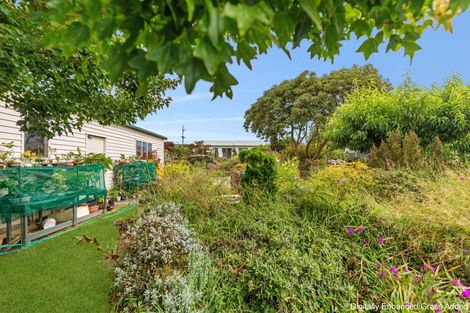 Photo of property in 420 Matakawau Road, Awhitu, Waiuku, 2684