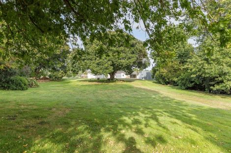 Photo of property in 107 Horrell Road, Morrinsville, 3374