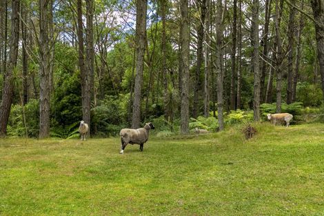 Photo of property in 96 Potter Road, Dairy Flat, Albany, 0792