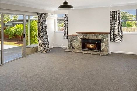 Photo of property in 17 Morris Road, Amberley, 7410