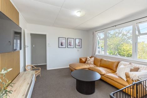 Photo of property in 206 High Street, Solway, Masterton, 5810