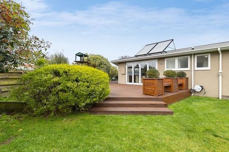 Photo of property in 9 Patea Place, Terrace End, Palmerston North, 4410