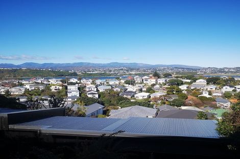 Photo of property in 93 Rakau Road, Hataitai, Wellington, 6021