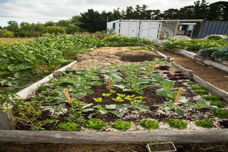 Photo of property in 148 Maskells Road, Balcairn, Amberley, 7481