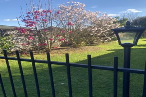 Photo of property in 20 Sharp Place, Matamata, 3400