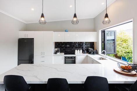 Photo of property in 30a Alfred Street, Roslyn, Palmerston North, 4414