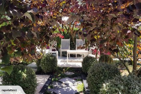 Photo of property in 115 Crummer Road, Grey Lynn, Auckland, 1021