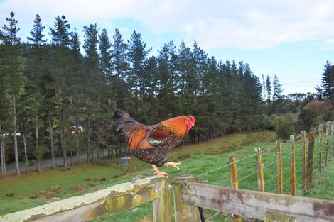 Photo of property in 41 Kaitawa Road, Hautere, Otaki, 5582