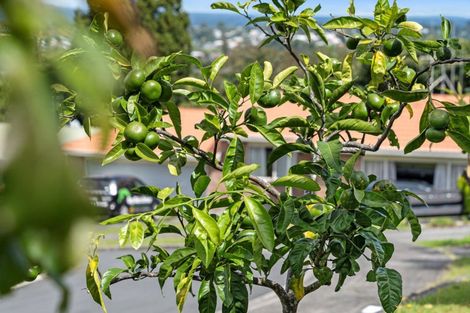 Photo of property in 34 Redmond Street, Judea, Tauranga, 3110