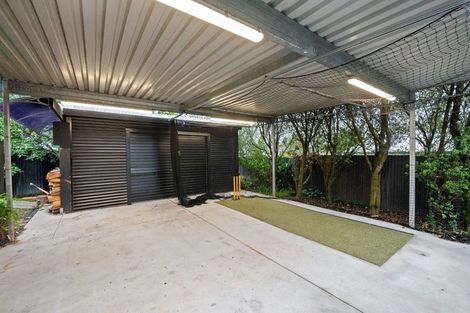 Photo of property in 21 Dinsdale Road, Dinsdale, Hamilton, 3204