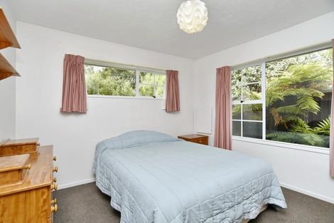 Photo of property in 47a Lagan Street, Belfast, Christchurch, 8051