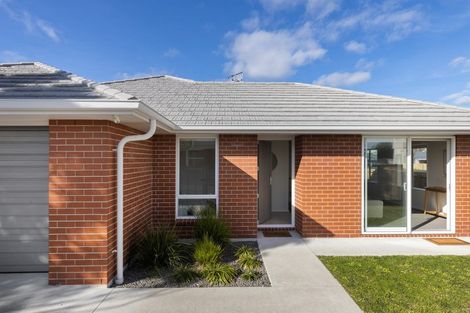 Photo of property in 19a Taupo Avenue, Mount Maunganui, 3116