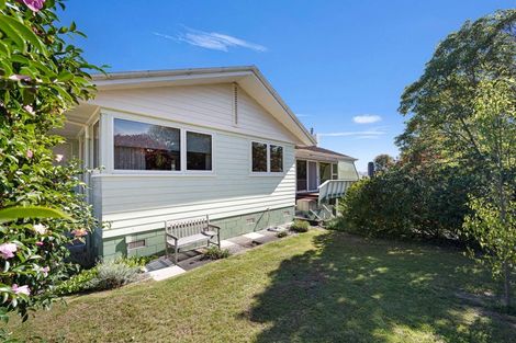 Photo of property in 19 Franklin Terrace, Havelock North, 4130
