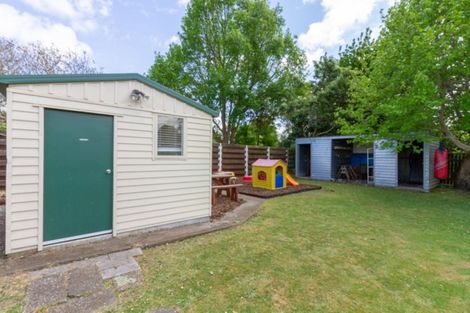 Photo of property in 165 Salisbury Street, Ashhurst, 4810