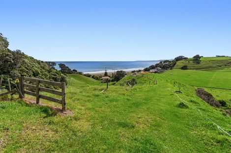 Photo of property in 59 Pohutukawa Drive, Waiotahe, Opotiki, 3198