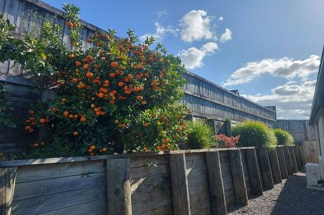 Photo of property in 17 Santiago Place, Flagstaff, Hamilton, 3210