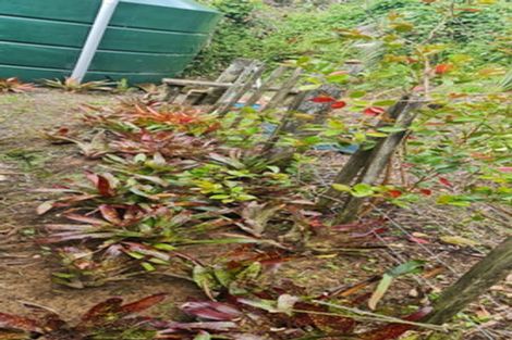 Photo of property in 7 Potter Street, Kohukohu, 0491