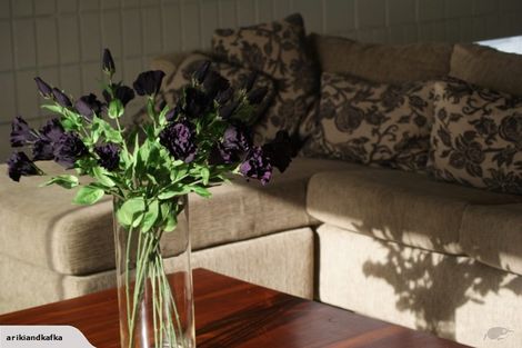 Photo of property in 79f St Marys Road, Saint Marys Bay, Auckland, 1011