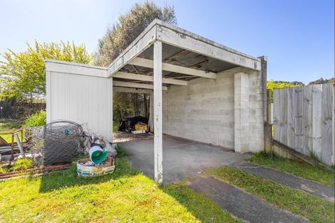 Photo of property in 19 Seath Avenue, Taumarunui, 3920
