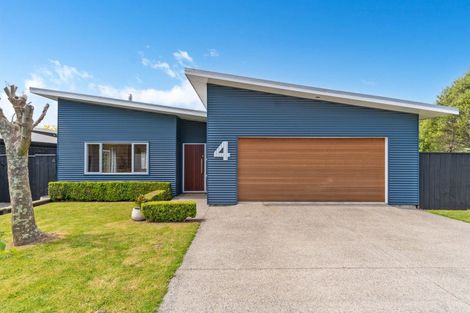 Photo of property in 4 Kibblewhite Road, Masterton, 5810