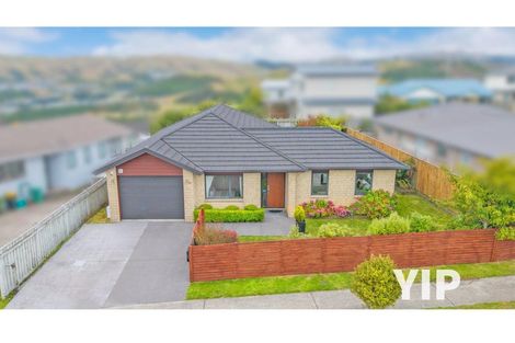 Photo of property in 175 Mark Avenue, Grenada Village, Wellington, 6037