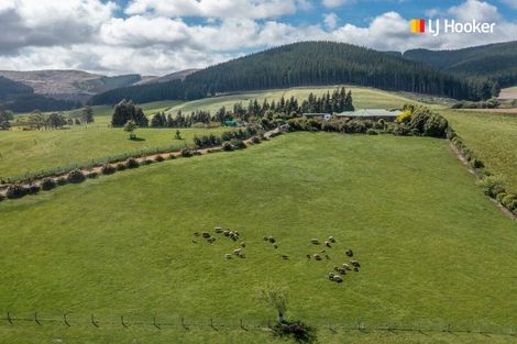 Photo of property in 756 Waihola Highway, Clarendon, Outram, 9073