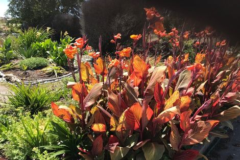 Photo of property in 33 Beach Street, Hokitika, 7810