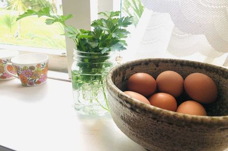 Photo of property in 72 Roberts Street, Waihi, 3610